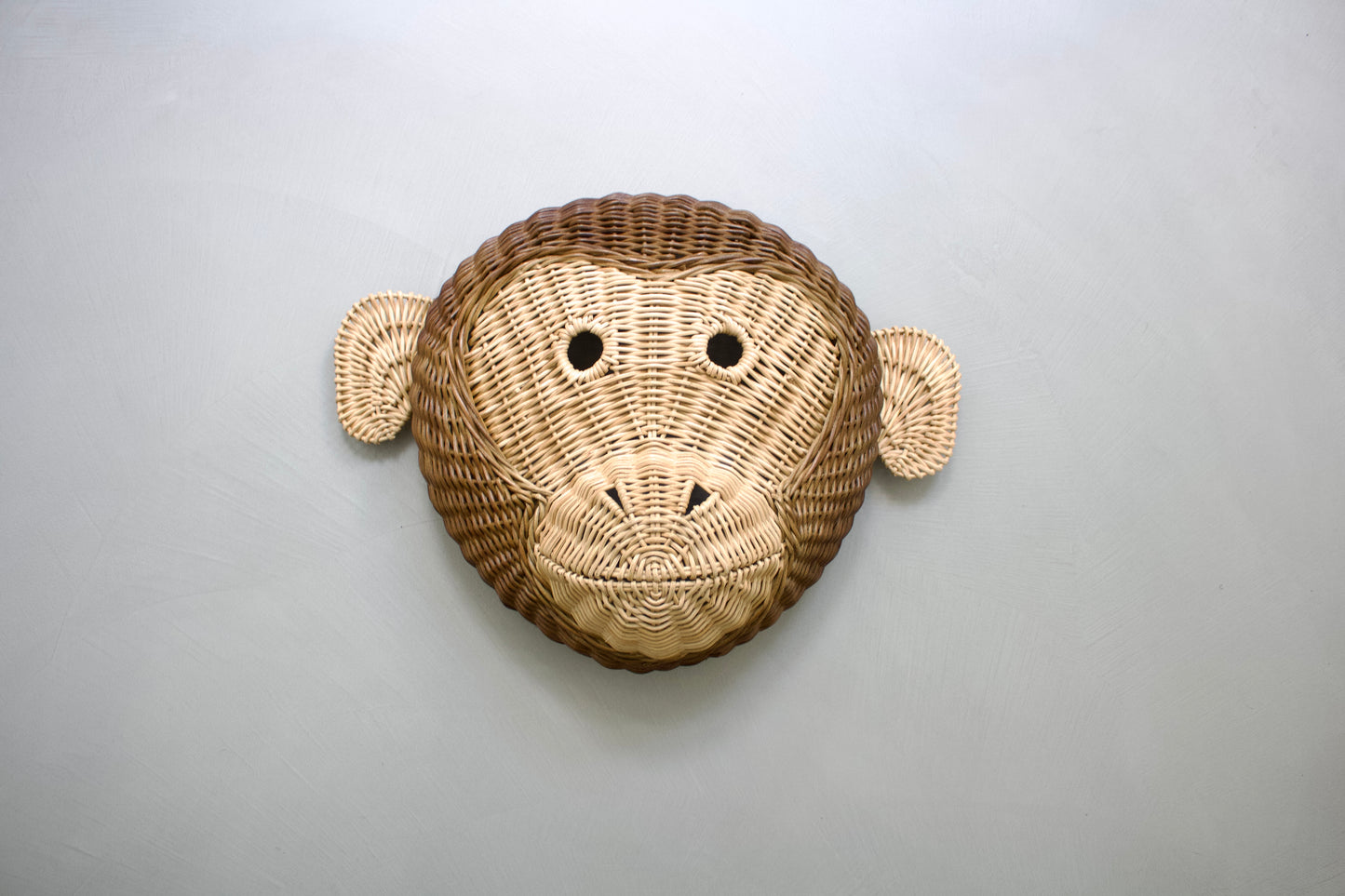 Murphy the Monkey